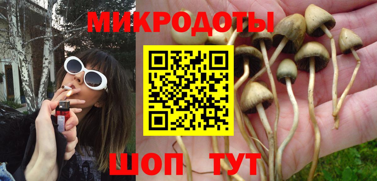 Губкин  Галлюциногенные грибы GOLDEN TEACHER  Вход с VPN 