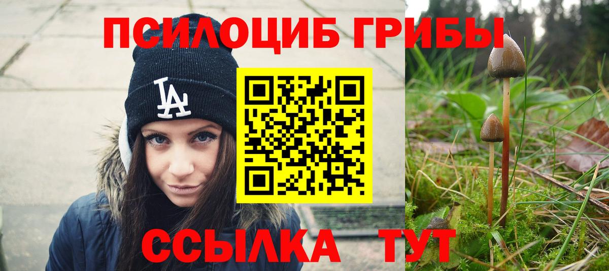 Псилоцибиновые грибы MAGIC MUSHROOMS Губкин